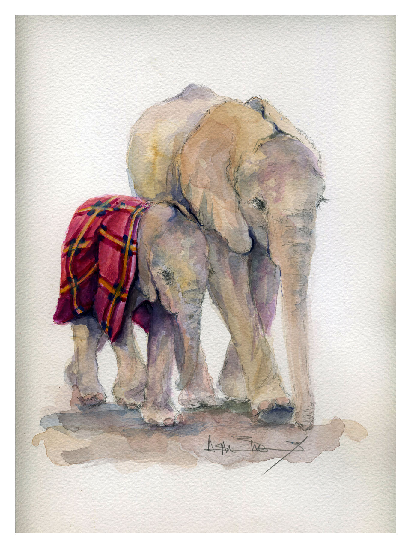 Sheldrick Wildlife Trust